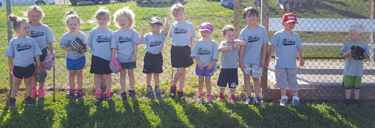 Tarkio T-Ball Grey Team