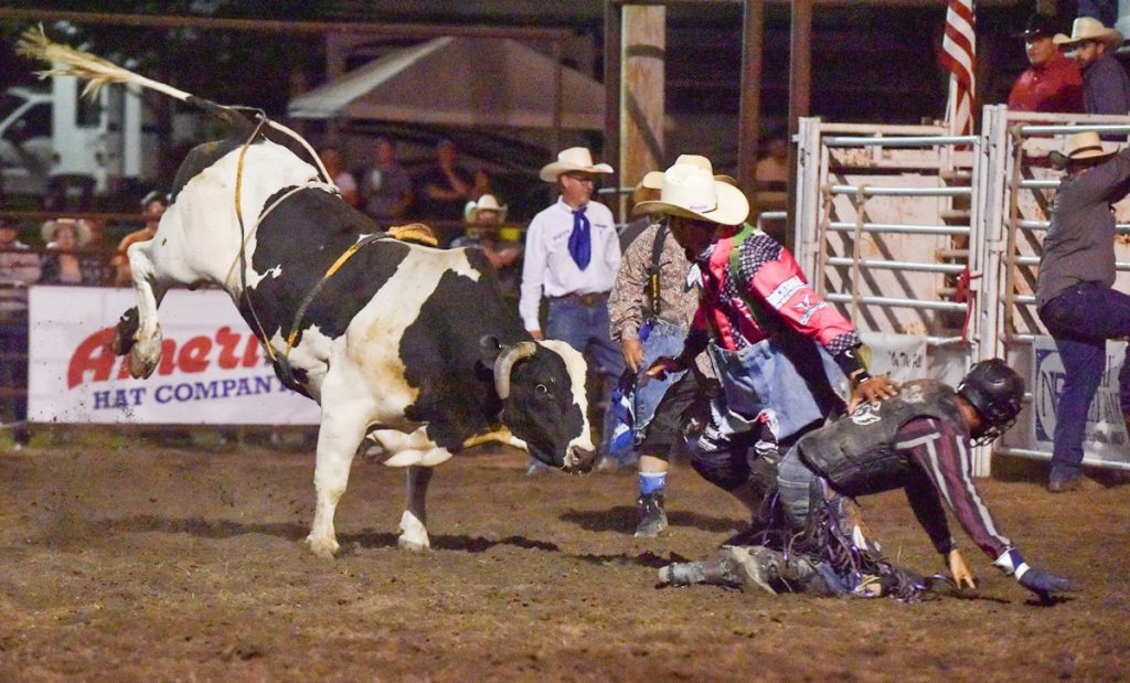 Tarkio Rodeo Photos