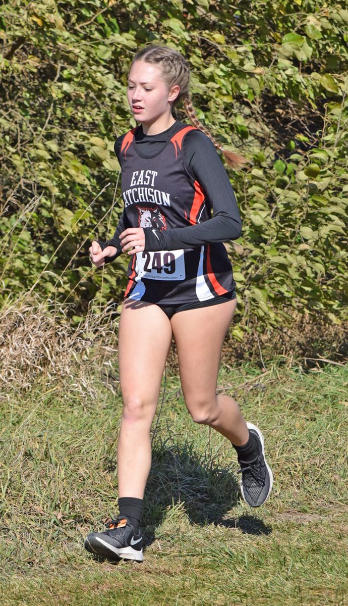 Cross country runners qualify for state