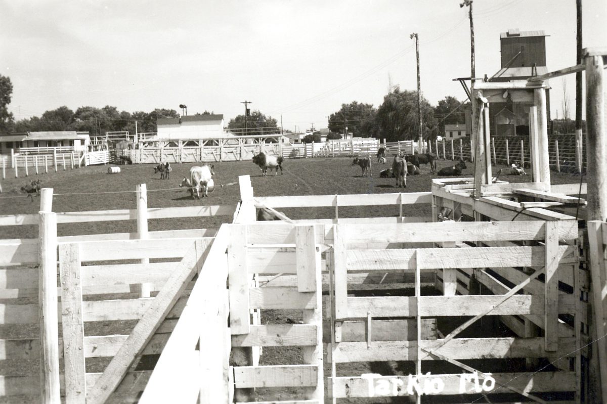 Best of the best preparing for saddle rash & whiplash at Tarkio Rodeo