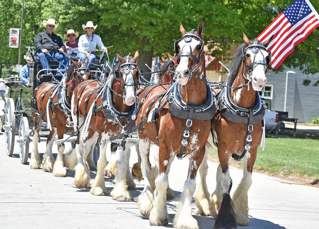 Tarkio Rodeo Parade