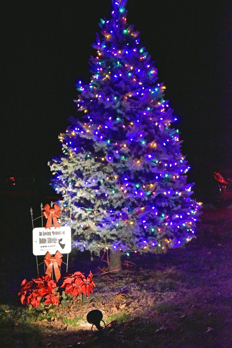 Fairfax Light Night celebrates beginning of holiday season