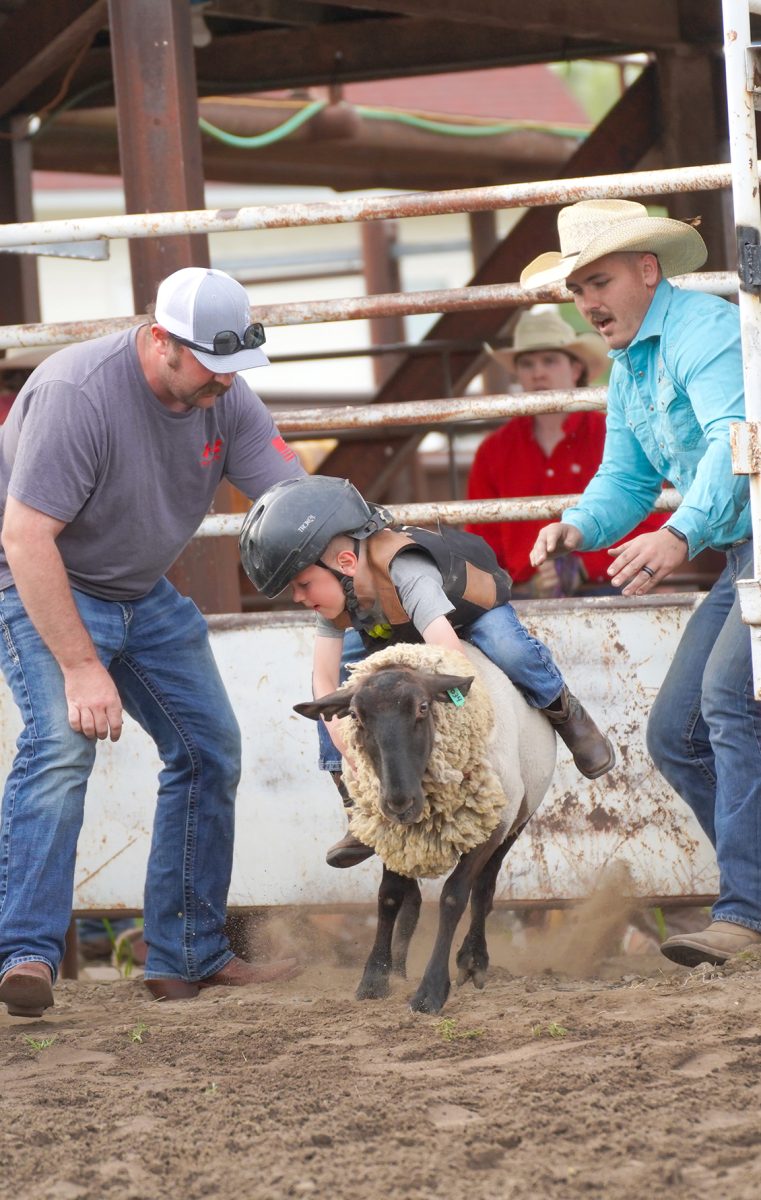 29th annual Tarkio Rodeo