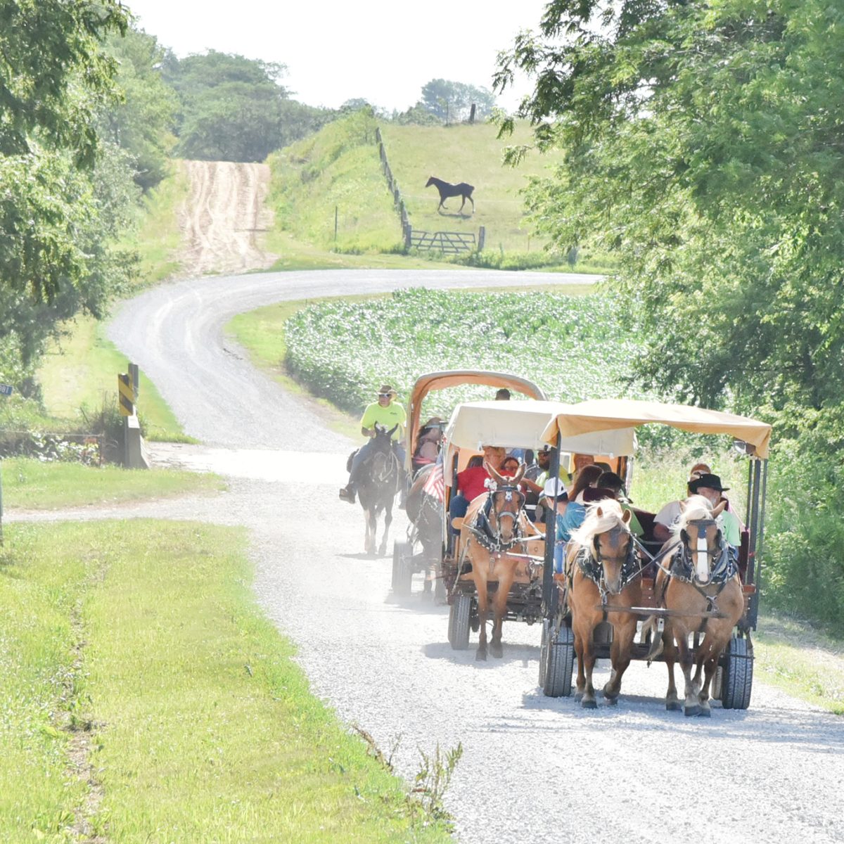 Farmers Days Rodeos 20th annual Fuzzy’s Rodeo Ride - Farmer Publishing