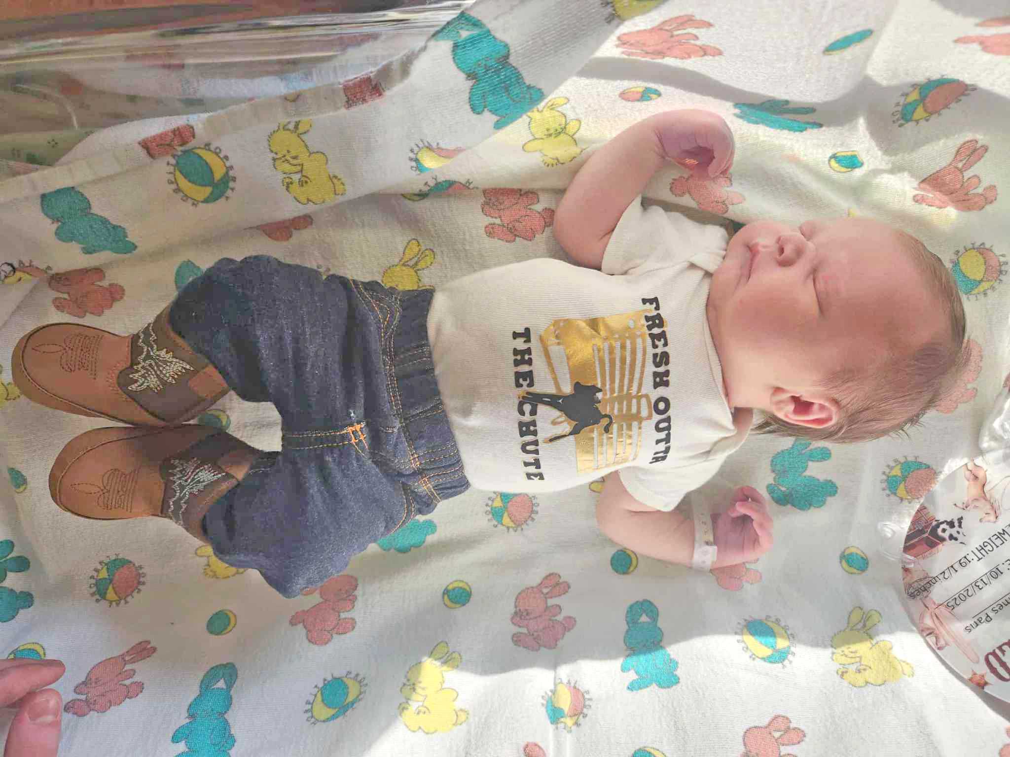 New Arrivals - Farmer Publishing